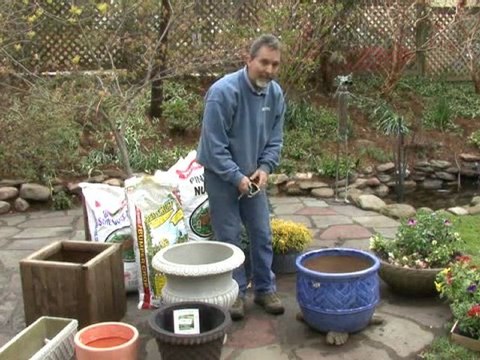 Pot your Plants - Choosing a Plant Container