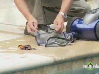 Pressure-side Automatic Pool Cleaner Care and Maintenance