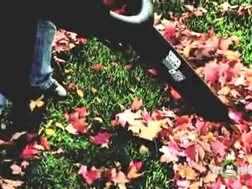 Leaf Blowers - What Tasks Will Be Performed