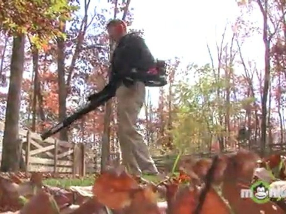Gas Leaf Blower - Backpack Advantages