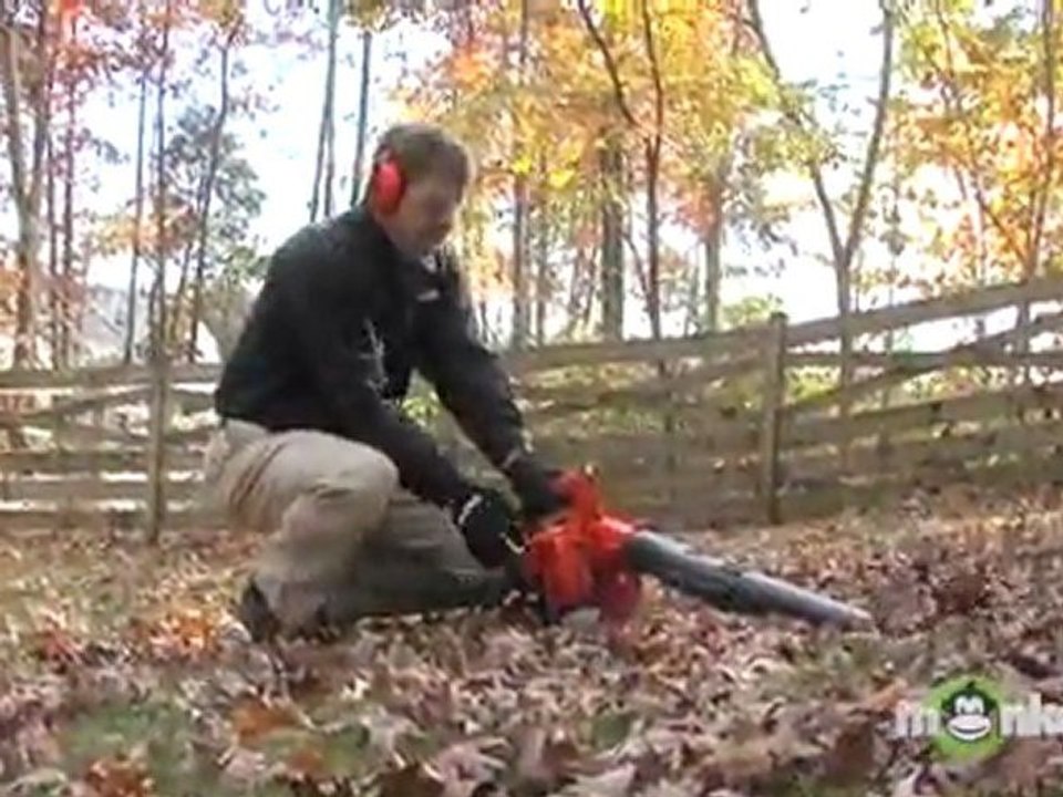Gas Leaf Blower - How Much Power is Needed