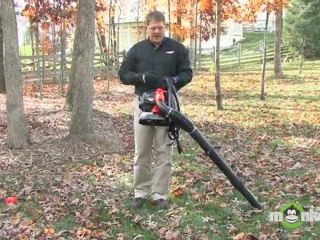 Operation of a Gas Leaf Blower