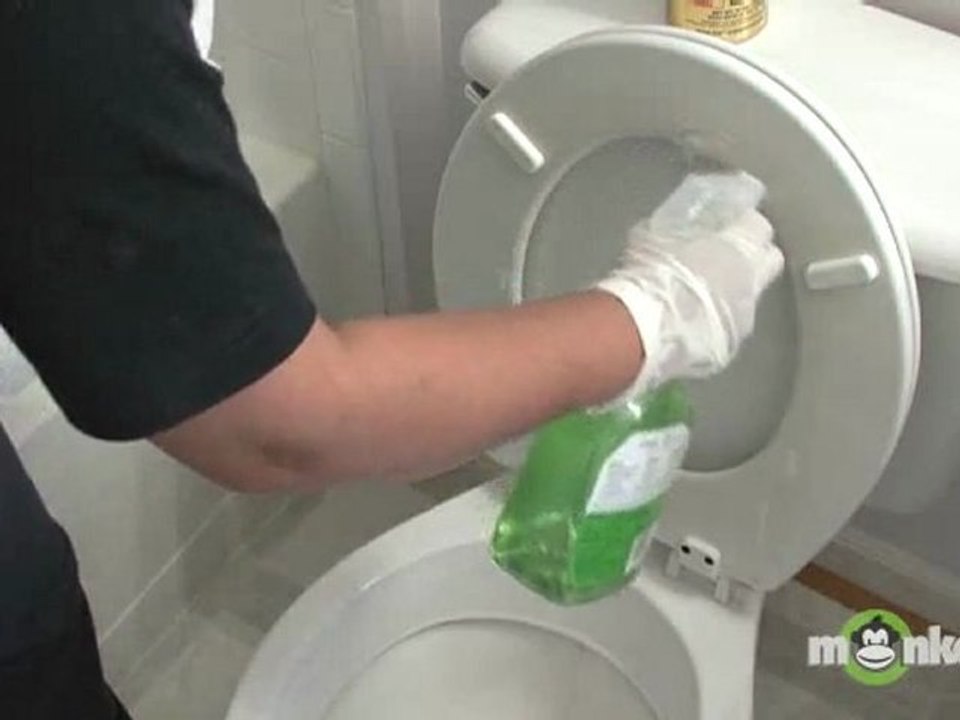 House Cleaning - Toilets