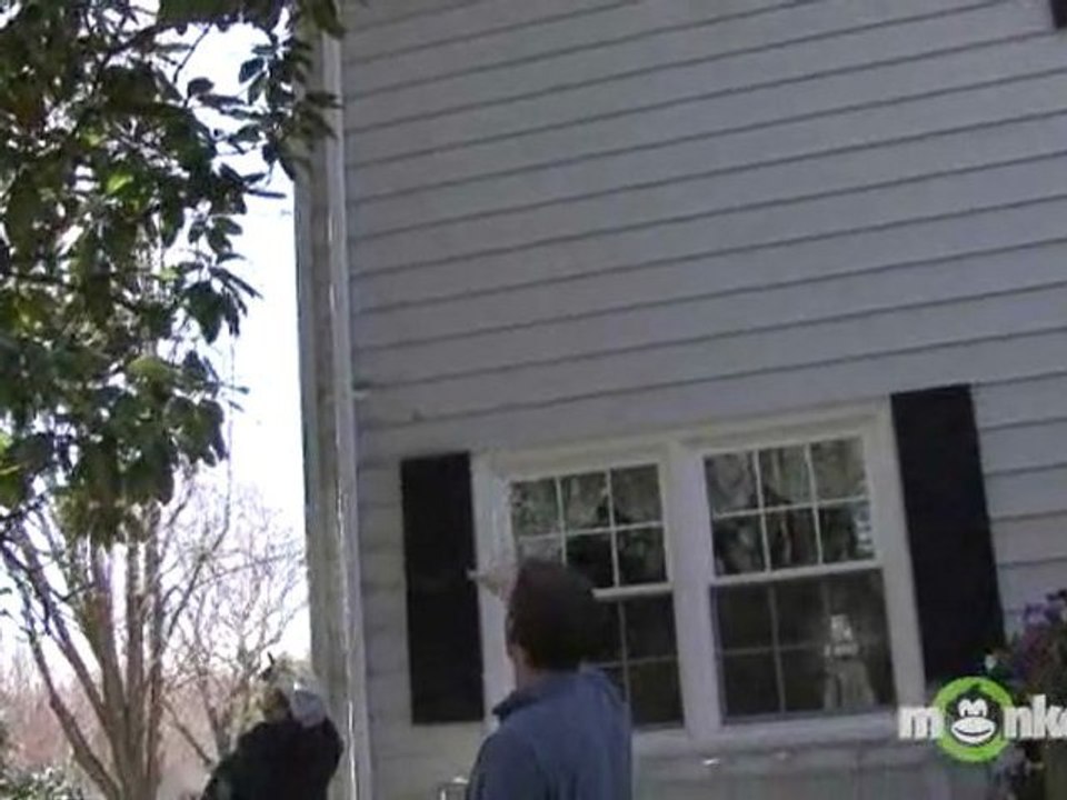 Pressure Washing - Visual Inspection