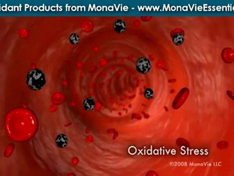 High Antioxidant Juices – Drink MonaVie Essential
