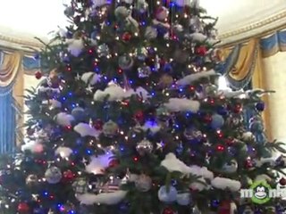Behind-the-Scenes of the White House Christmas Tree