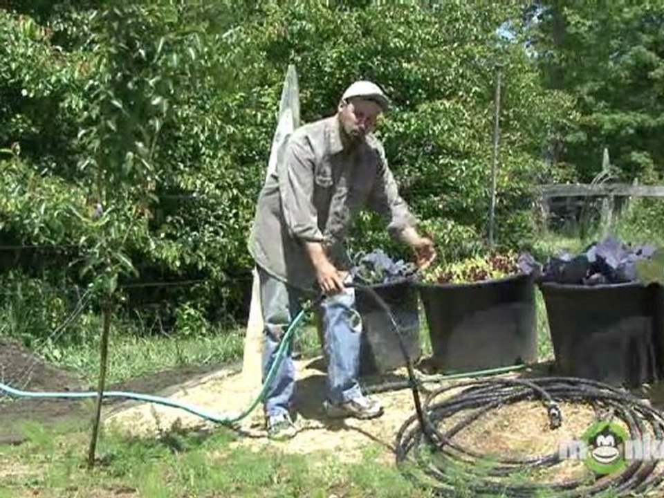 Organic Gardening - Watering Schedule