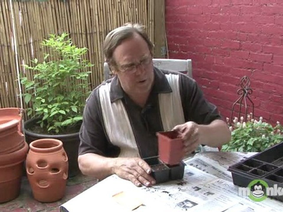 Vegetable Garden - How to Start Seeds Indoors