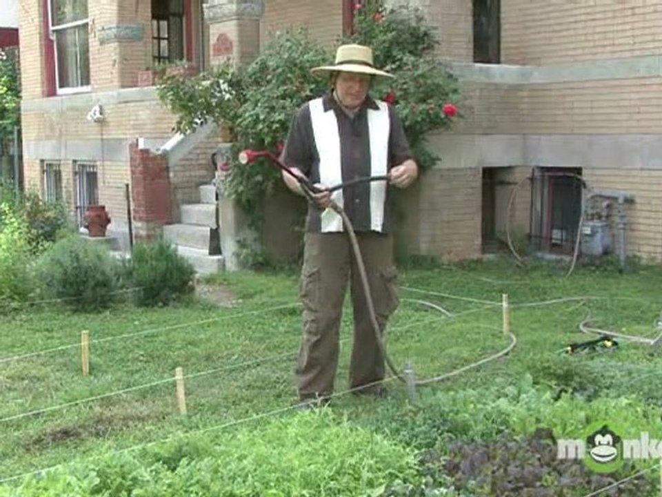 Watering Techniques for Your Vegetable Garden