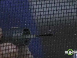 Repairing a Hole in Screen Window