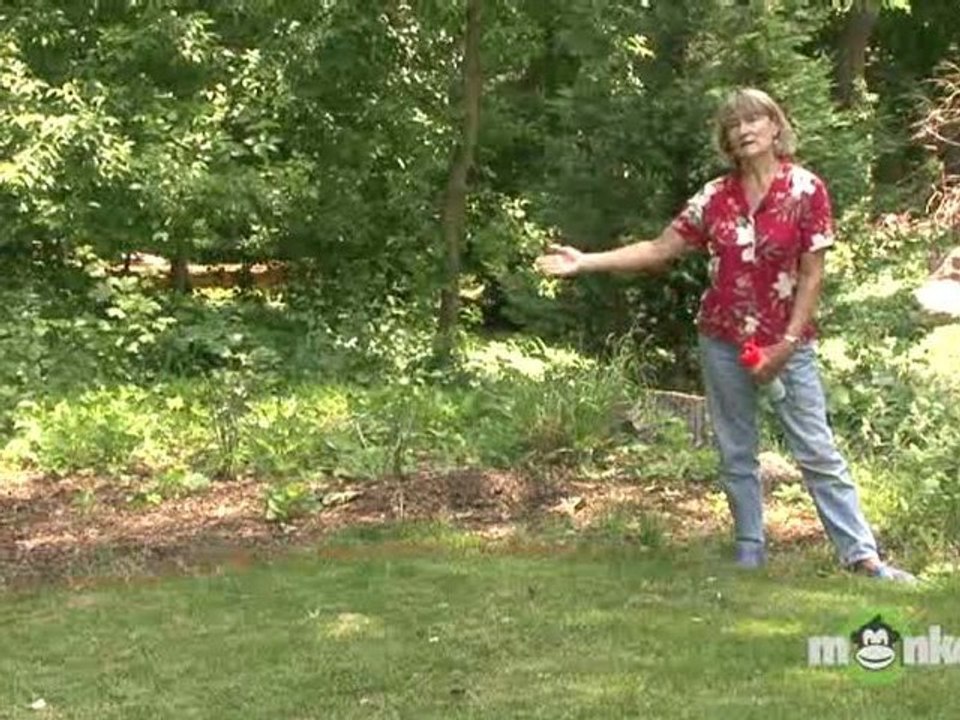 Sustainable Garden - Choosing and Marking Borders