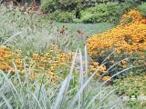 Sustainable Garden - Perennials and Annuals