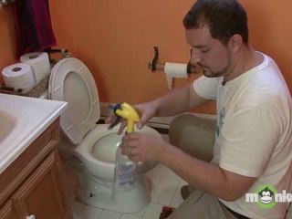 Green Cleaning a Toilet
