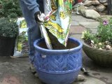Pot your Plants - Putting Soil in the Pot