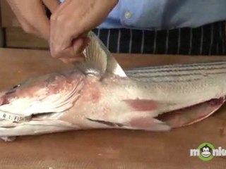 Striped Bass - Cleaning the Fish