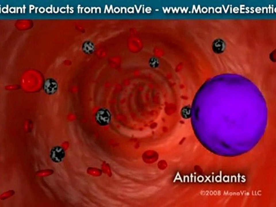 Acai Fruit Juice Antioxidants - Drink MonaVie Essential ...