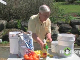 Dandelion Wine-Fermentation Process