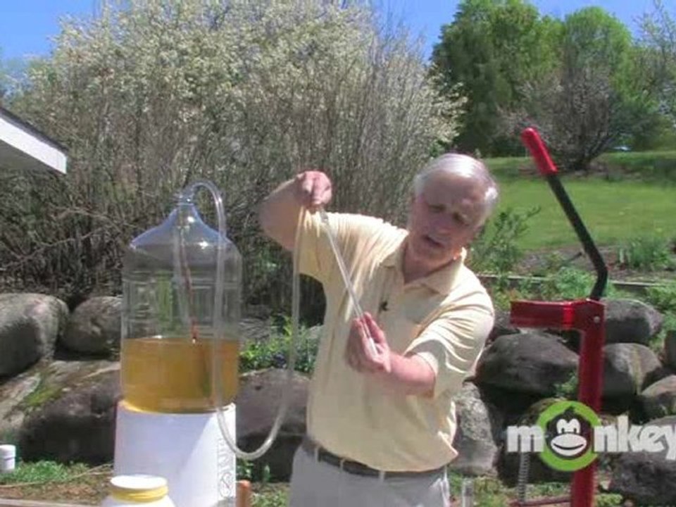 Dandelion Wine-Bottling the Wine
