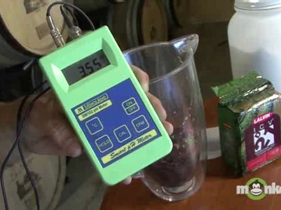 Wine Making - Turning Grape Juice into Wine