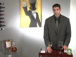 Wine Tasting Step 2 - Sniff