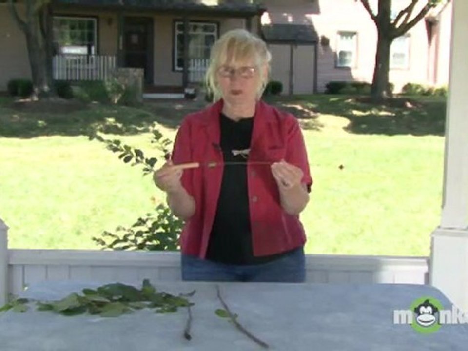Dowsing Tools - The Bobber