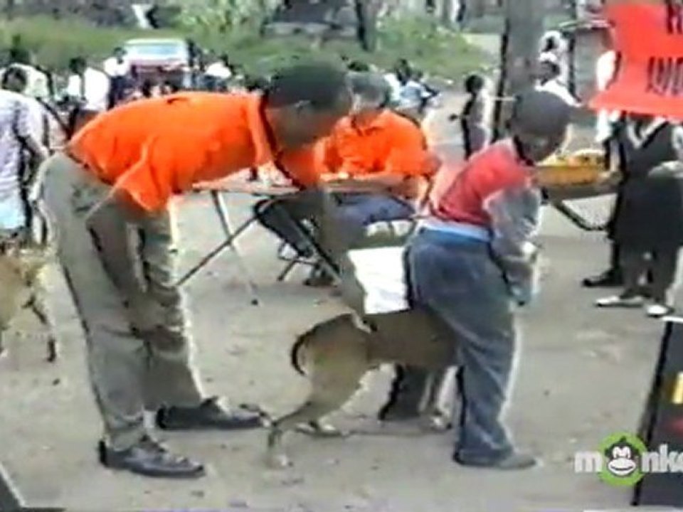 What is World Rabies Day?
