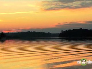 Macular Degeneration Symptoms