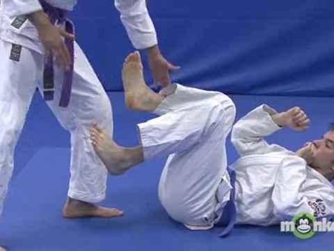 Beginning Brazilian Jiu Jitsu - Defensive and Offensive Strikes