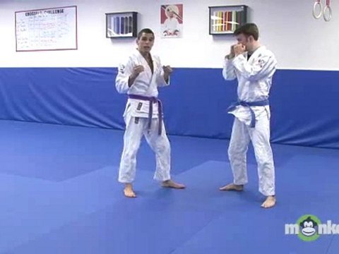 Beginning Brazilian Jiu Jitsu - Striking Range Combat