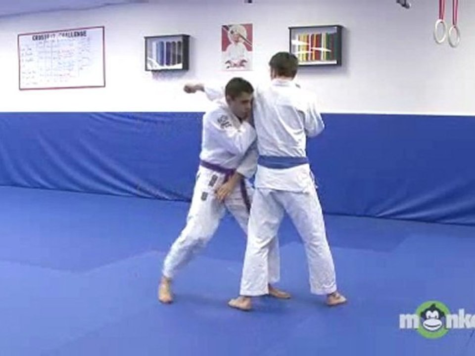 Beginning Brazilian Jiu Jitsu Punches Video Dailymotion