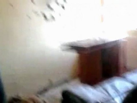 Lawyer claims Toulouse gunman claimed innocence