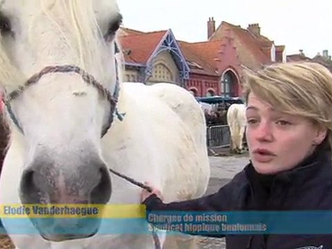 Opal'TV - Le JT - Edition du lundi 2 avril 2012