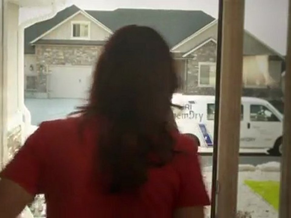 Bomar Chem-Dry Carpet Cleaning - Pet Stains!