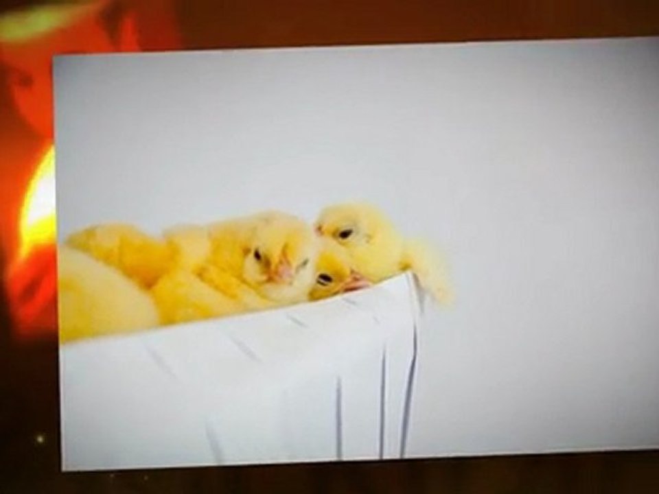 We Care for Easter... At Le Meridien