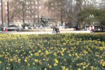 Avrupa'da ırkçılık