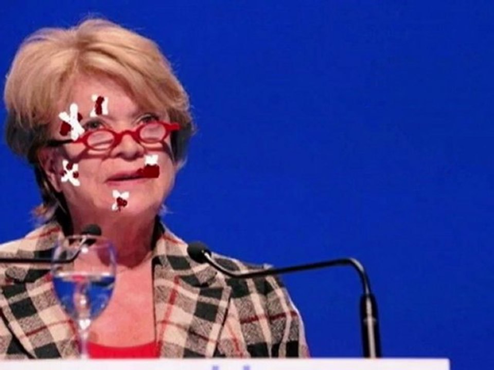 Réunion a EELV après l'accident de E.Joly