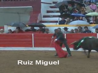 III Festival Taurino da Rádio Campanário