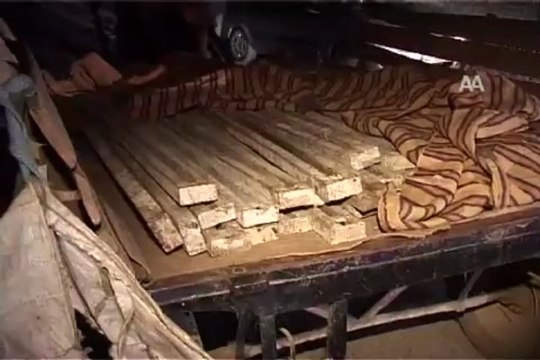 Polis at arabası kullandı