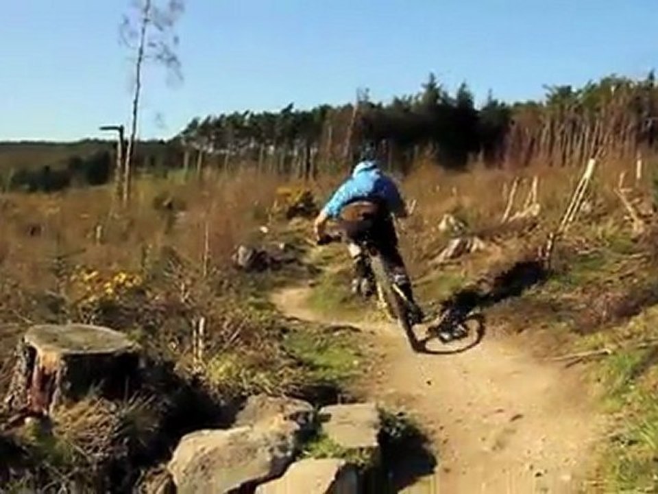 Santa Cruz Tallboy: First Look