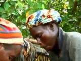 Oyster Farming in Senegal | Global 3000