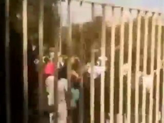 فري برس حلب الجامعة بداية مظاهرة كلية  العمارة 2 4 2012 ج4