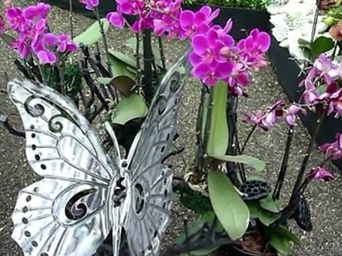 Dutch largest garden expo set to wow visitors