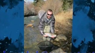 Fly Fishing Colorado or Ken's Anglers