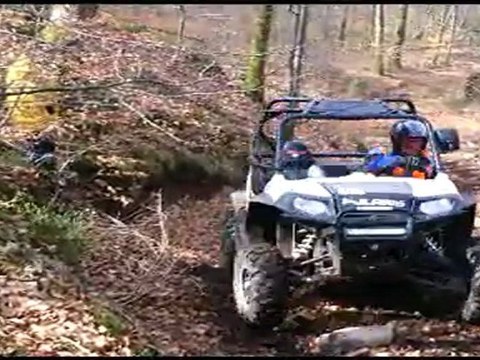 vosges