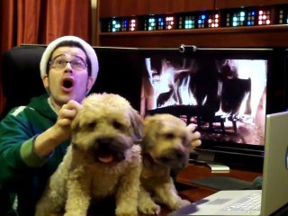 Happy Howlidays in High Dogfinition!