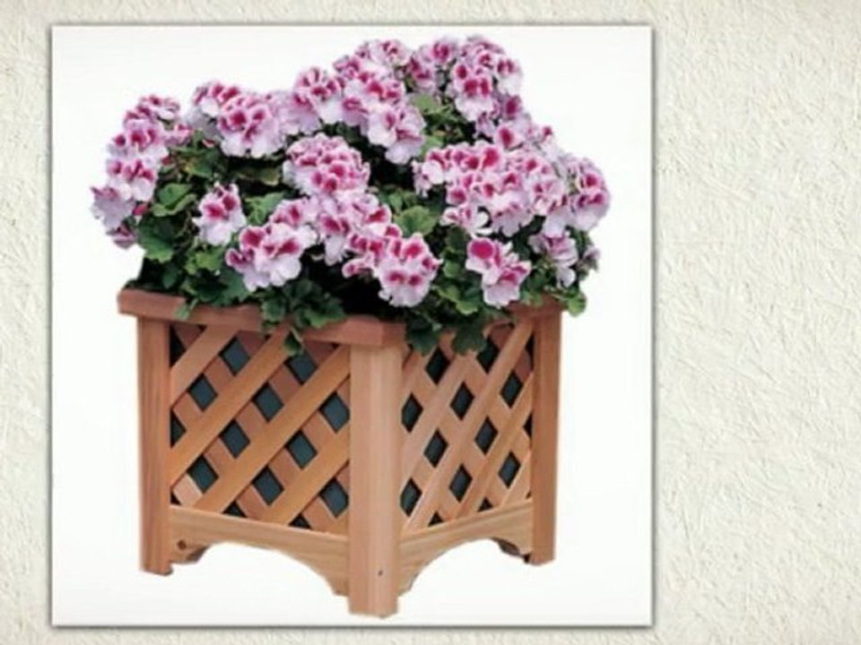 Container Gardening At Its Best