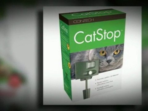 Just When You Think You've Got It All!