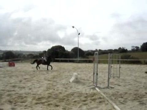 Kalinette d'amour et Erell, Ecuries de Lannilis