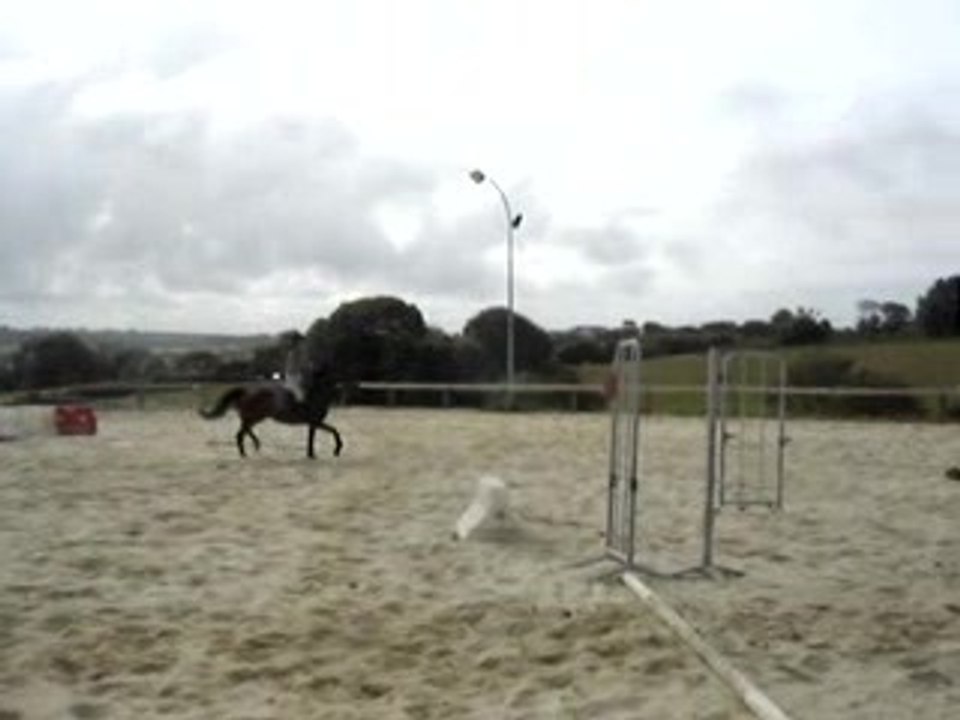 Kalinette d'amour et Erell, Ecuries de Lannilis