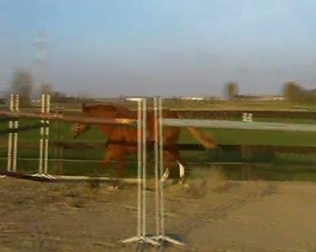 cso Safran saut en liberté